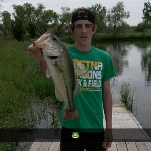 Meet your Posher, Dylan